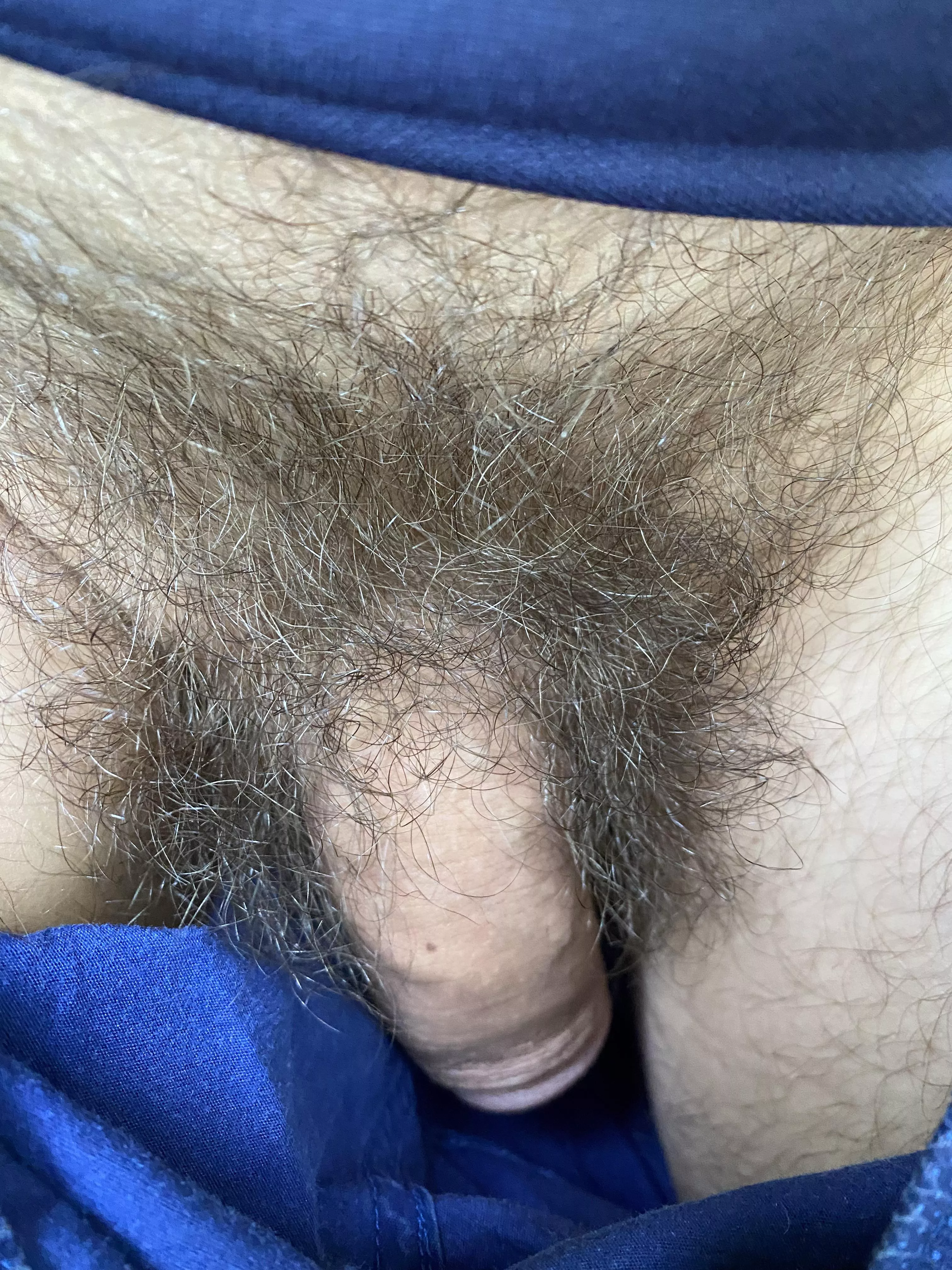 Natural bush posted by OutrageousSyrup-1