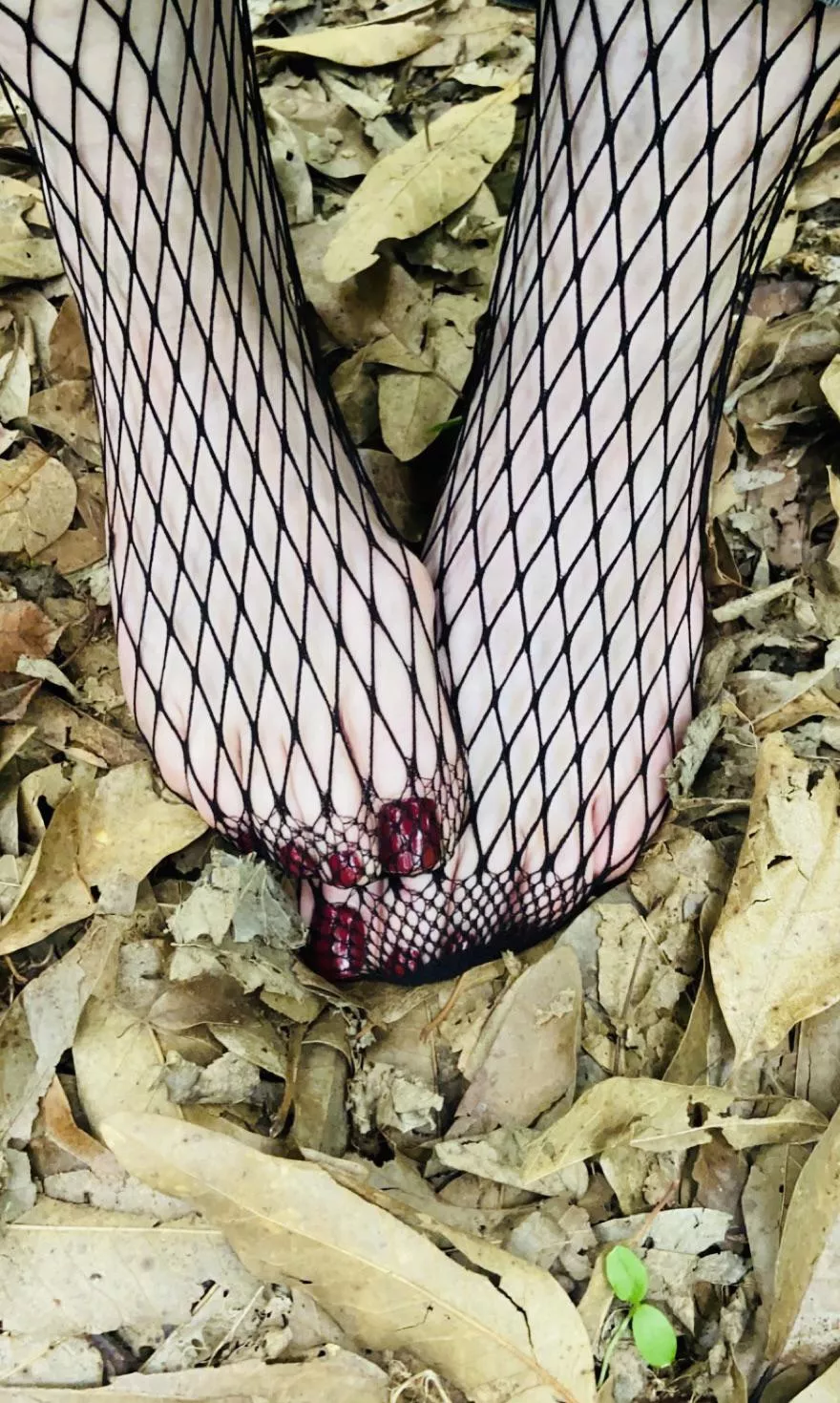 Natural habitat posted by _Nectar000hbesh