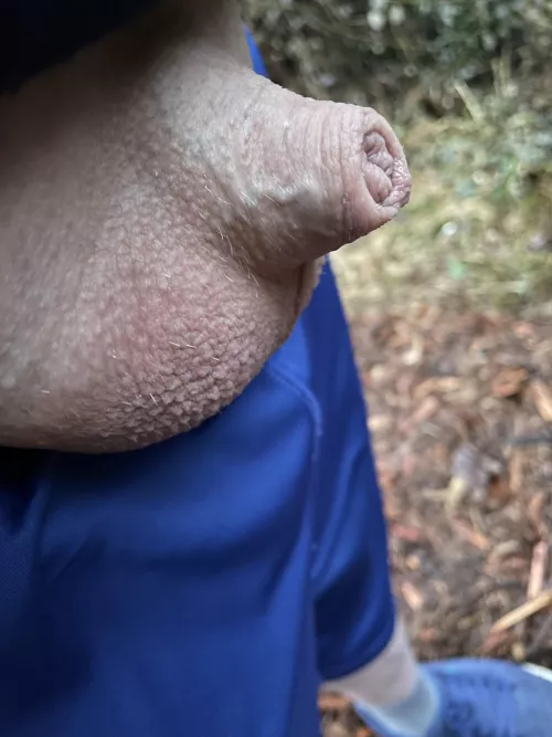 Nature love (40) by Friendly-Jacket-1793