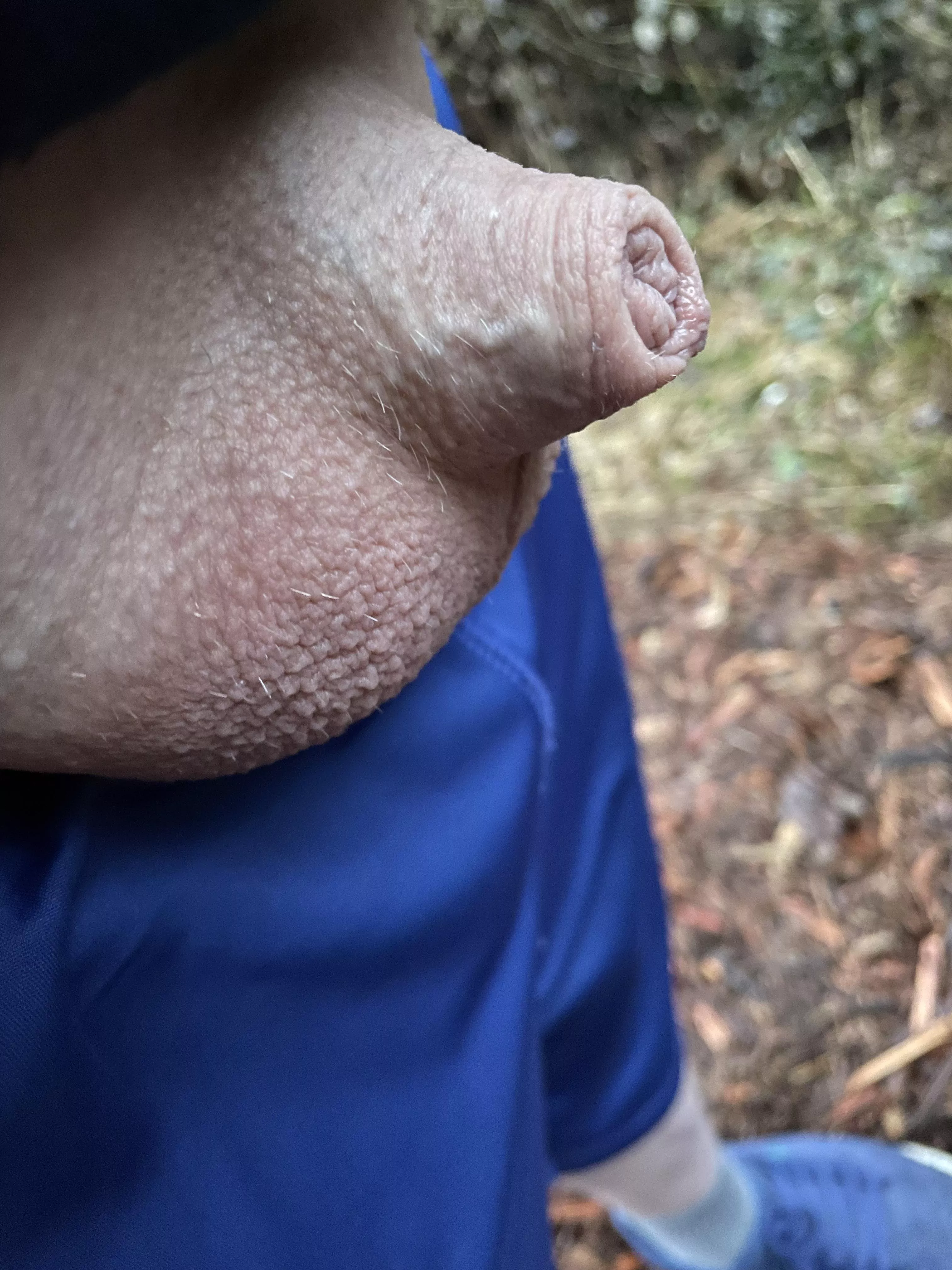 Nature love (40) posted by Friendly-Jacket-1793