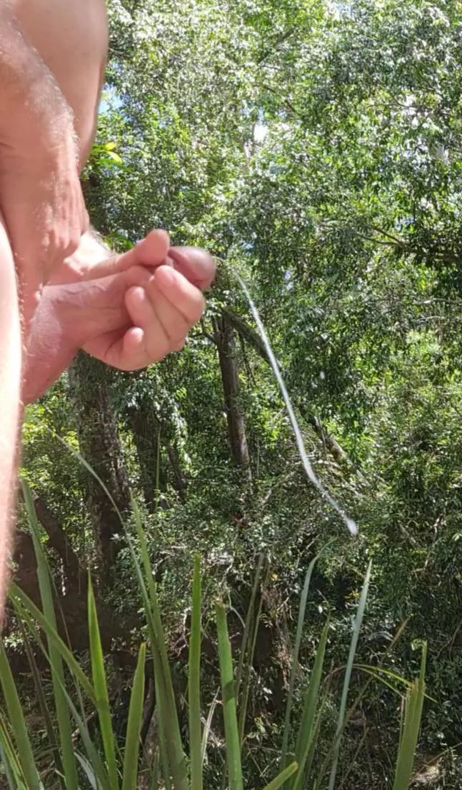 nature shoot posted by 1969AD