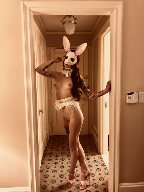 naughty bunny by demon-poptart