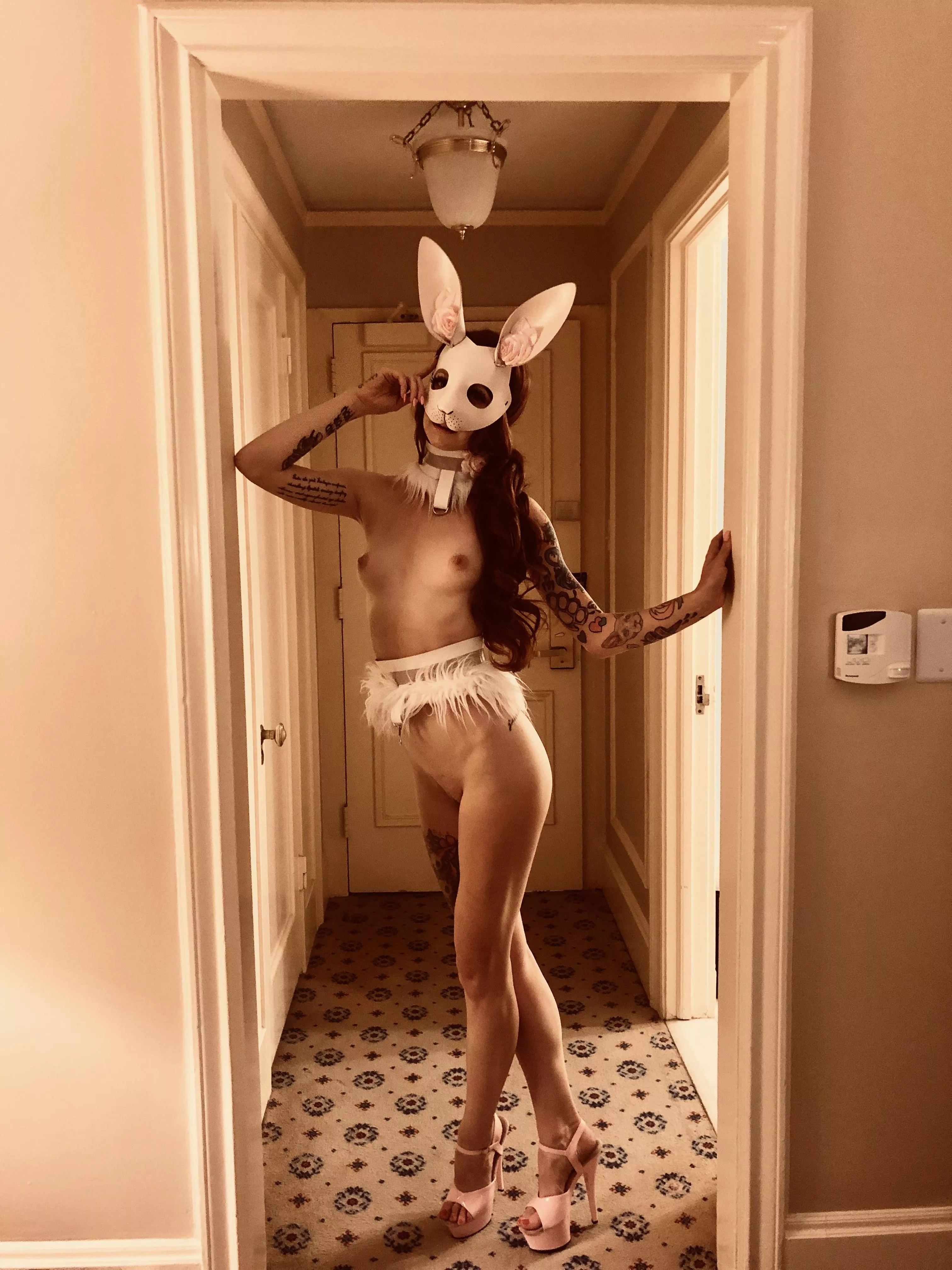 naughty bunny posted by demon-poptart