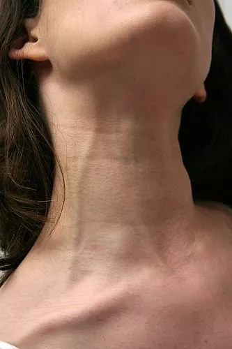 neck vein fetish? it's not sexual but I find it so hot posted by Fearless-Succotash73