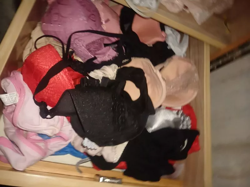 Need A Bull To Control Me and Humiliate Me. Wife Is Not Home And I Got Access To Her Lingerie Tonight. so come and humiliate me and show me what a pathetic cuck I am. DM me posted by Muslim_Slut