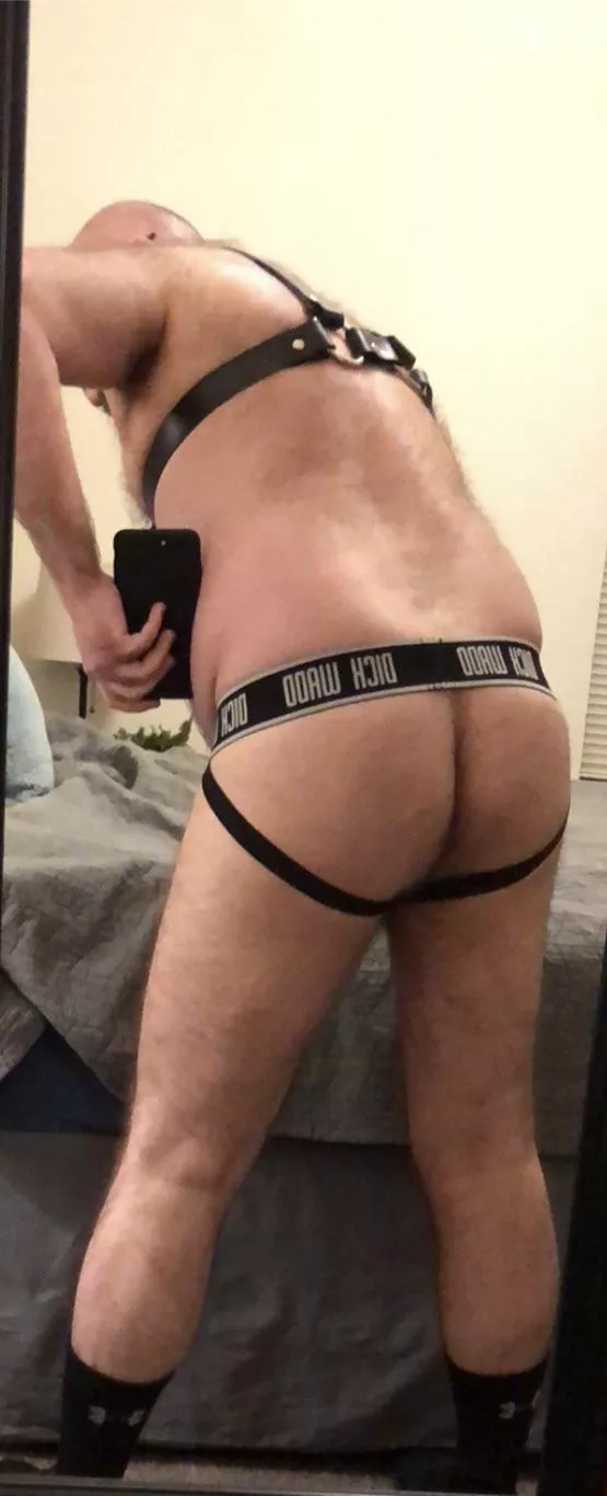 Need a good breeding posted by gaydudeinnorman