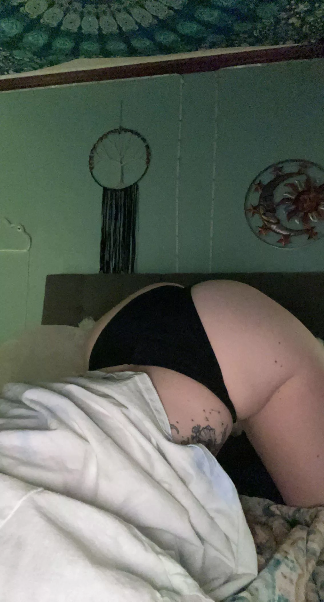 need a good head back there posted by Low-Experience4708