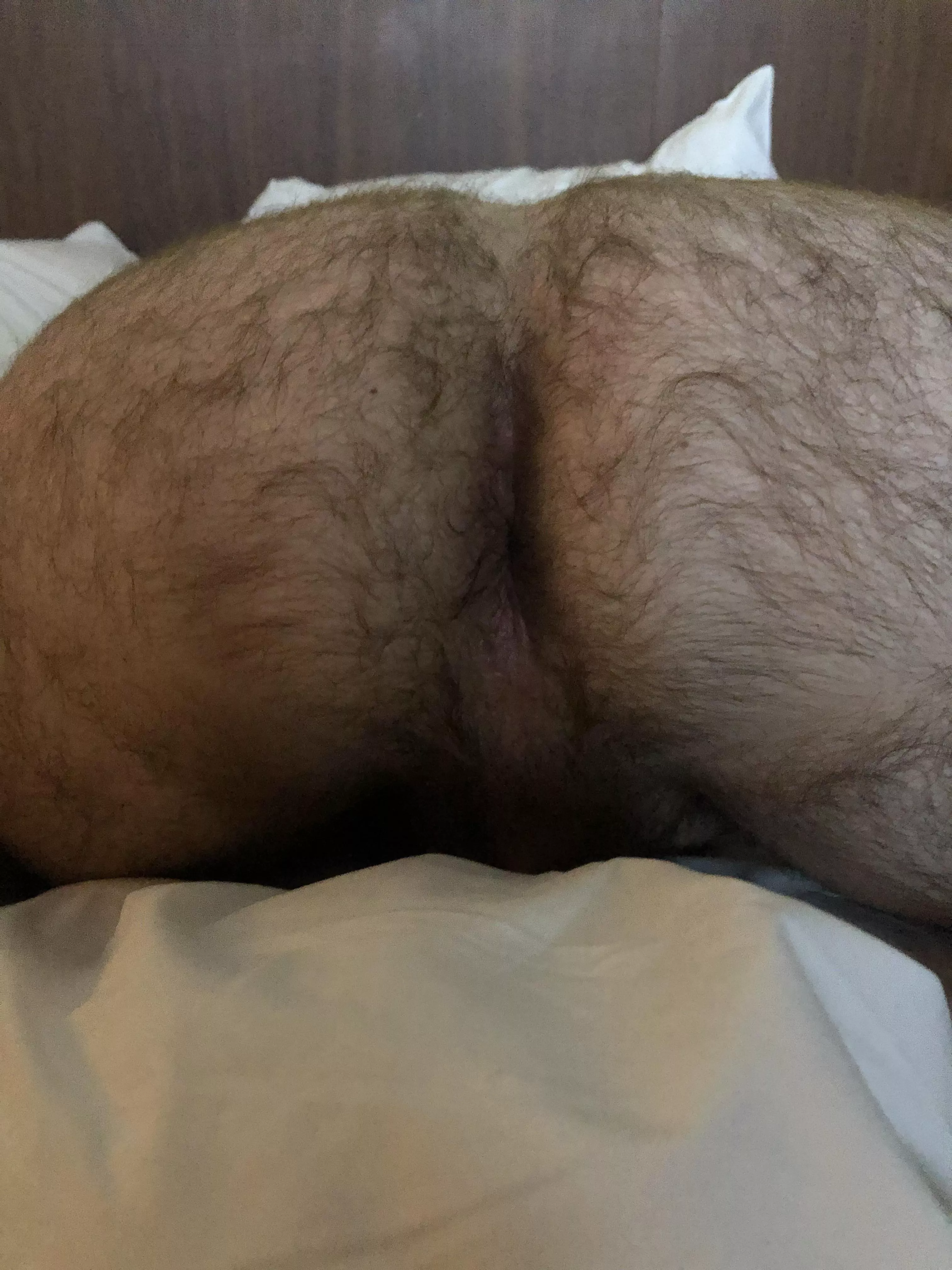 Need a good pounding 😈 posted by hairyd00de