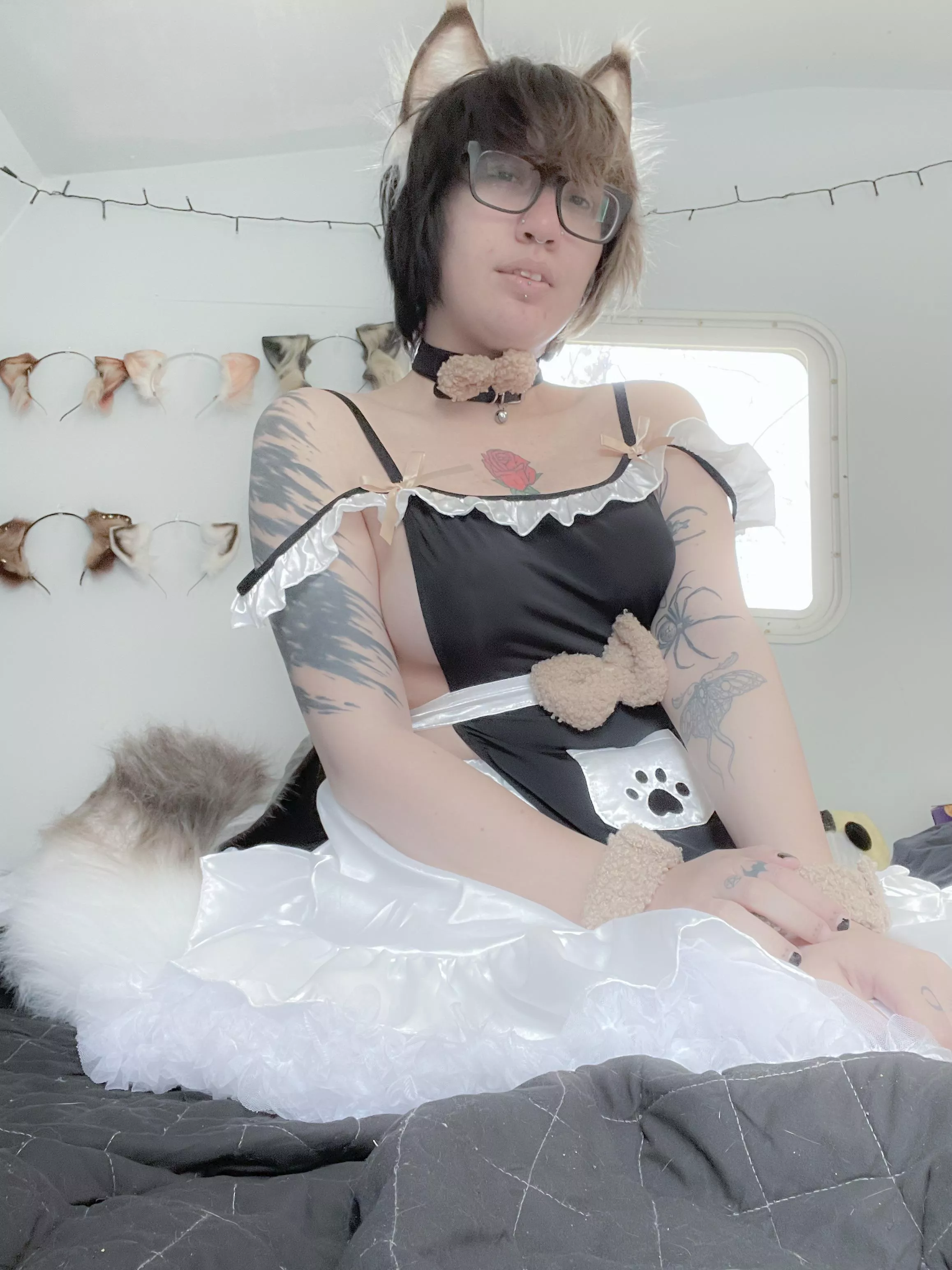 Need a little puppy maid? posted by Pumpkiinpuppy