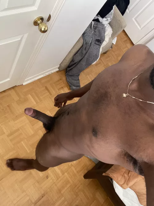 Need help with morning wood (Toronto) by Resident_Ad_7064