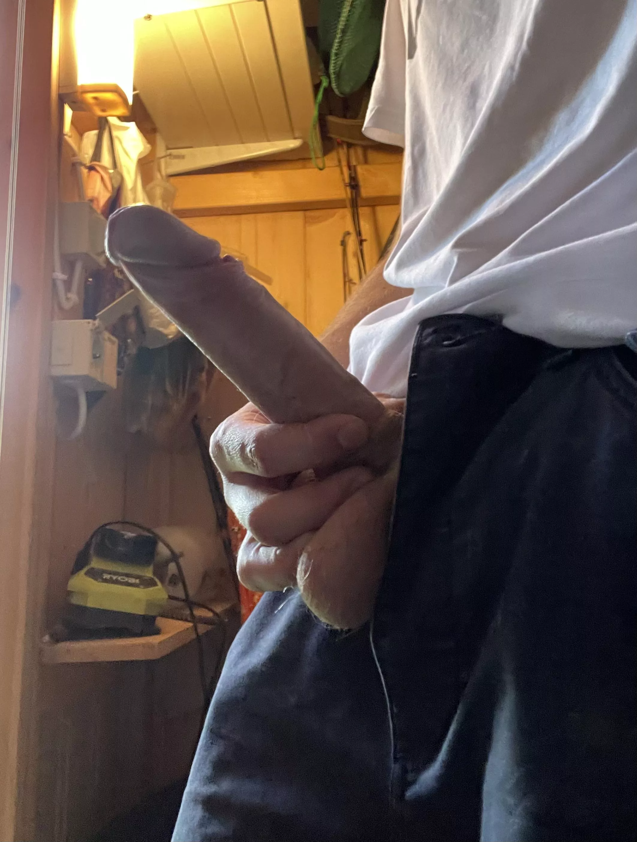 Need my hammer from my workshop? posted by Furious_bulldog