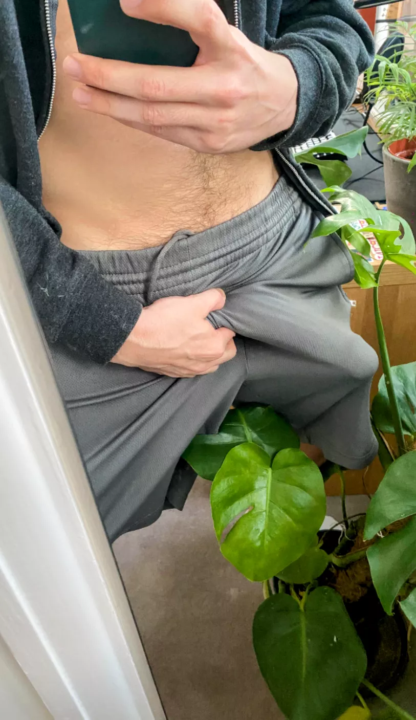 Need some morning love? posted by Individual-Fly-6758