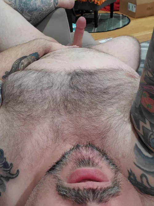 Need some release by guile_244