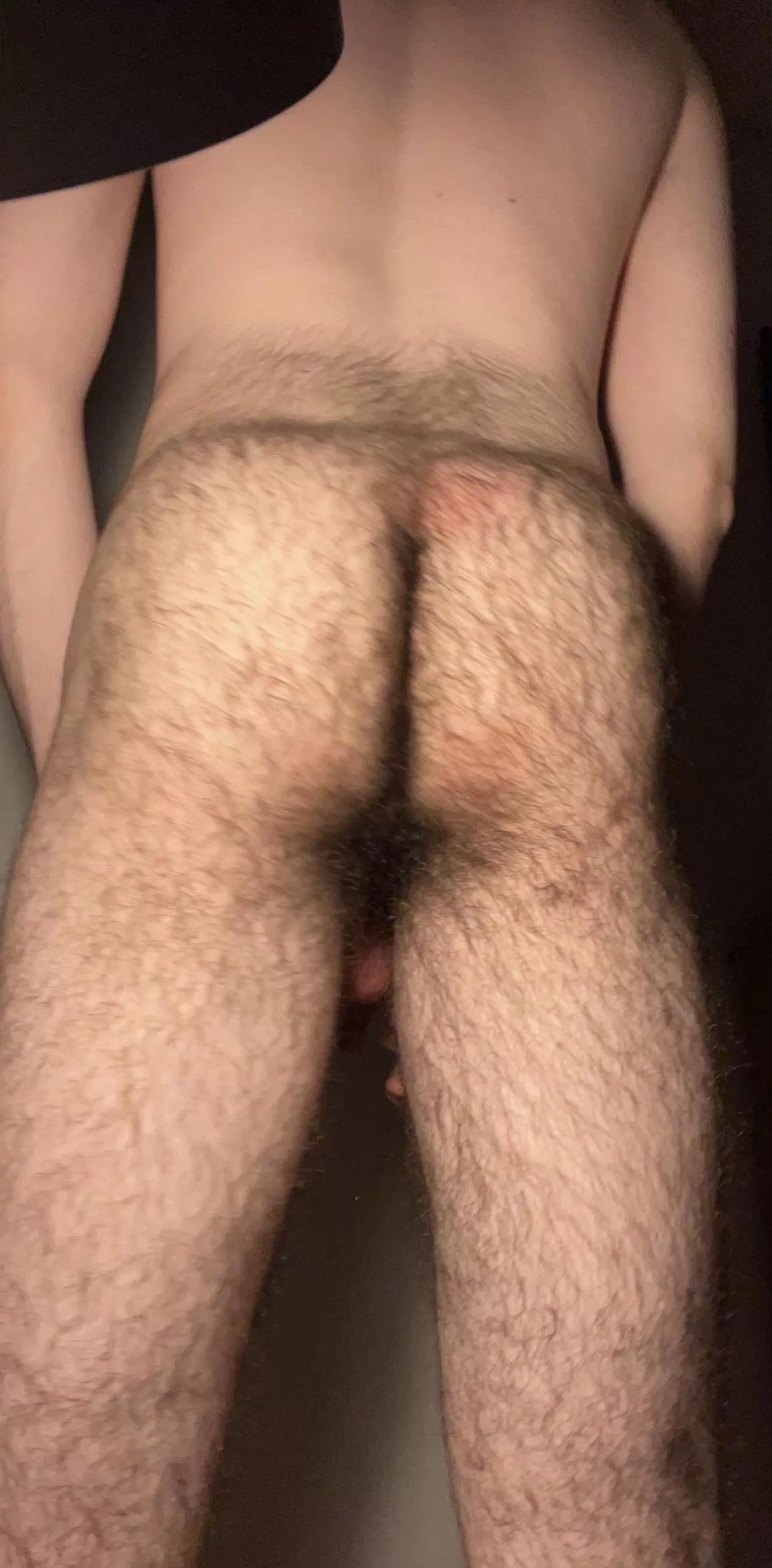 Need someone hung to breed me posted by sharry_18