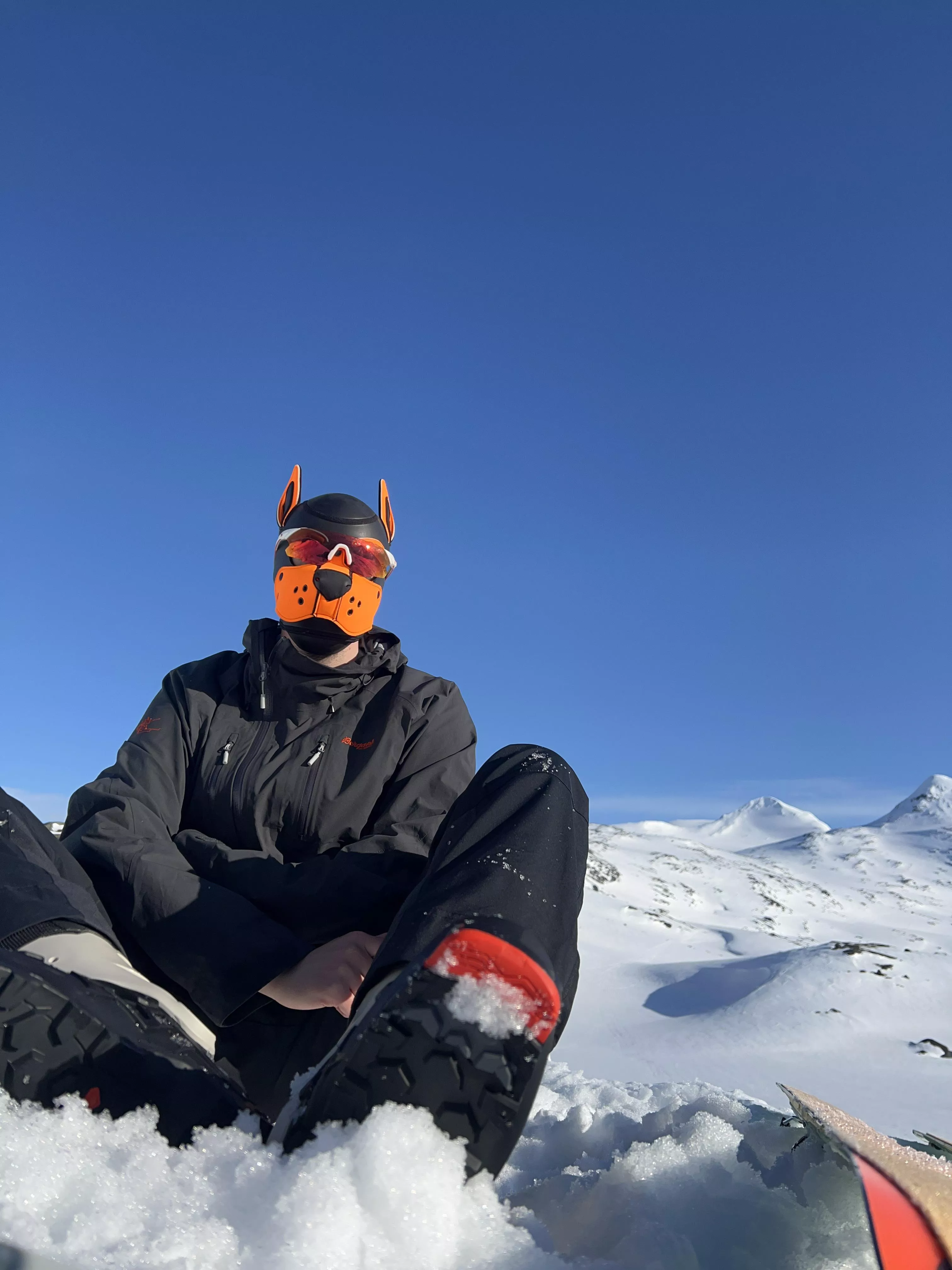 Need someone to come play in the snow with this pup 🐾❄️ posted by pup_fixx