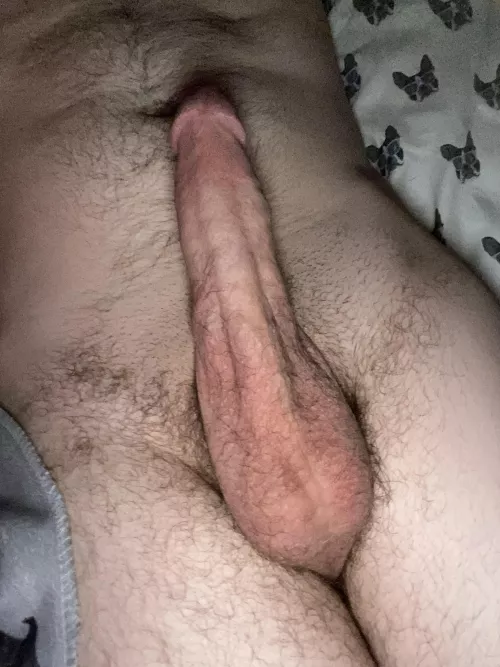 Need someone to suck me while I raid by noblesteeda