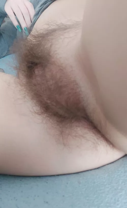 need someone to use my hairy hole by nothrnybruh
