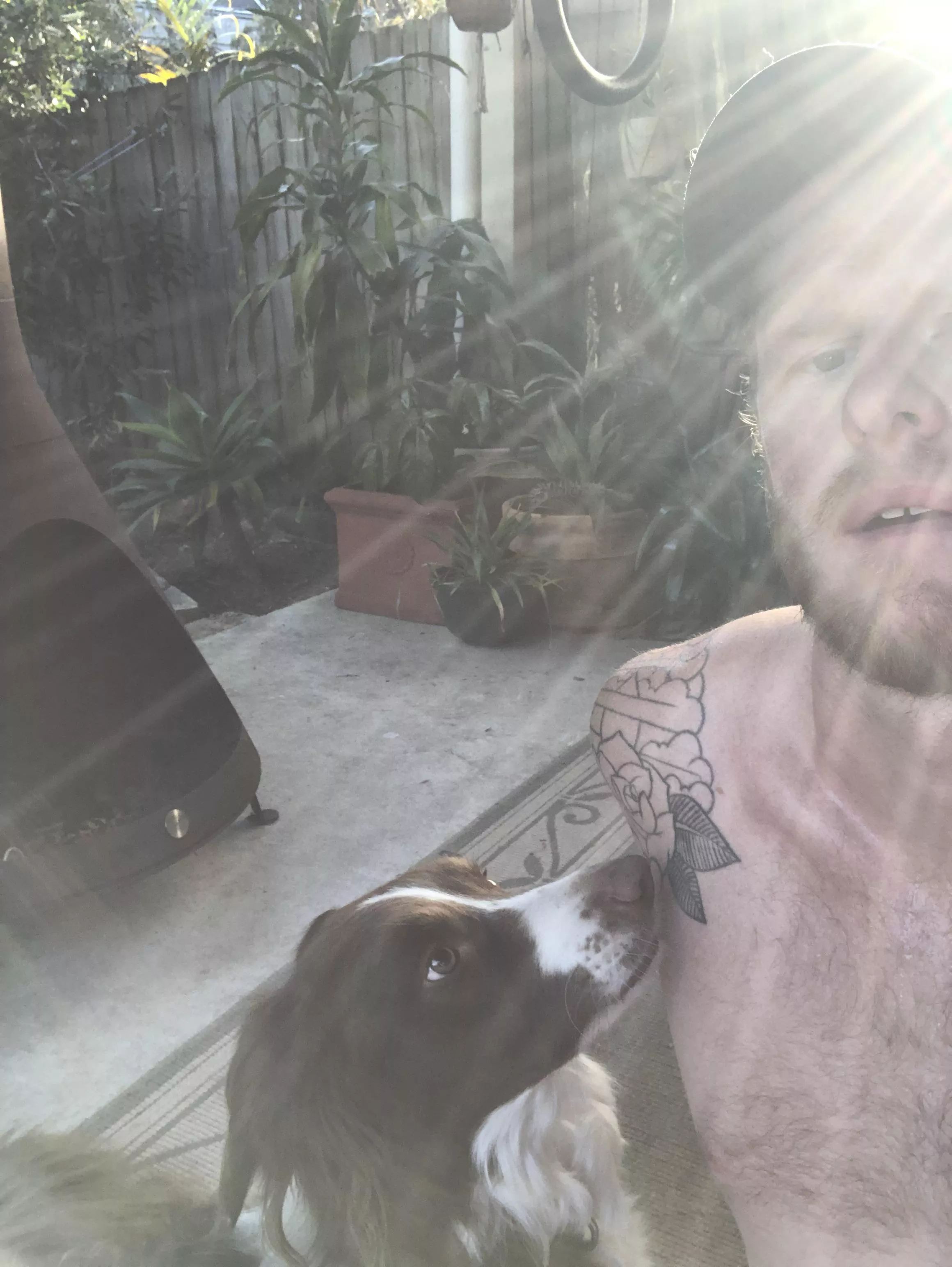 Need someone to validate my workouts like my dog does [m] posted by pd027