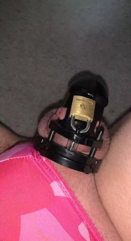 Needs to be smaller but will do for now. My longest is 3 days. Trying for a week. It’s a bigger mental hurdle than I thought. posted by xX_Confus3d_Xx