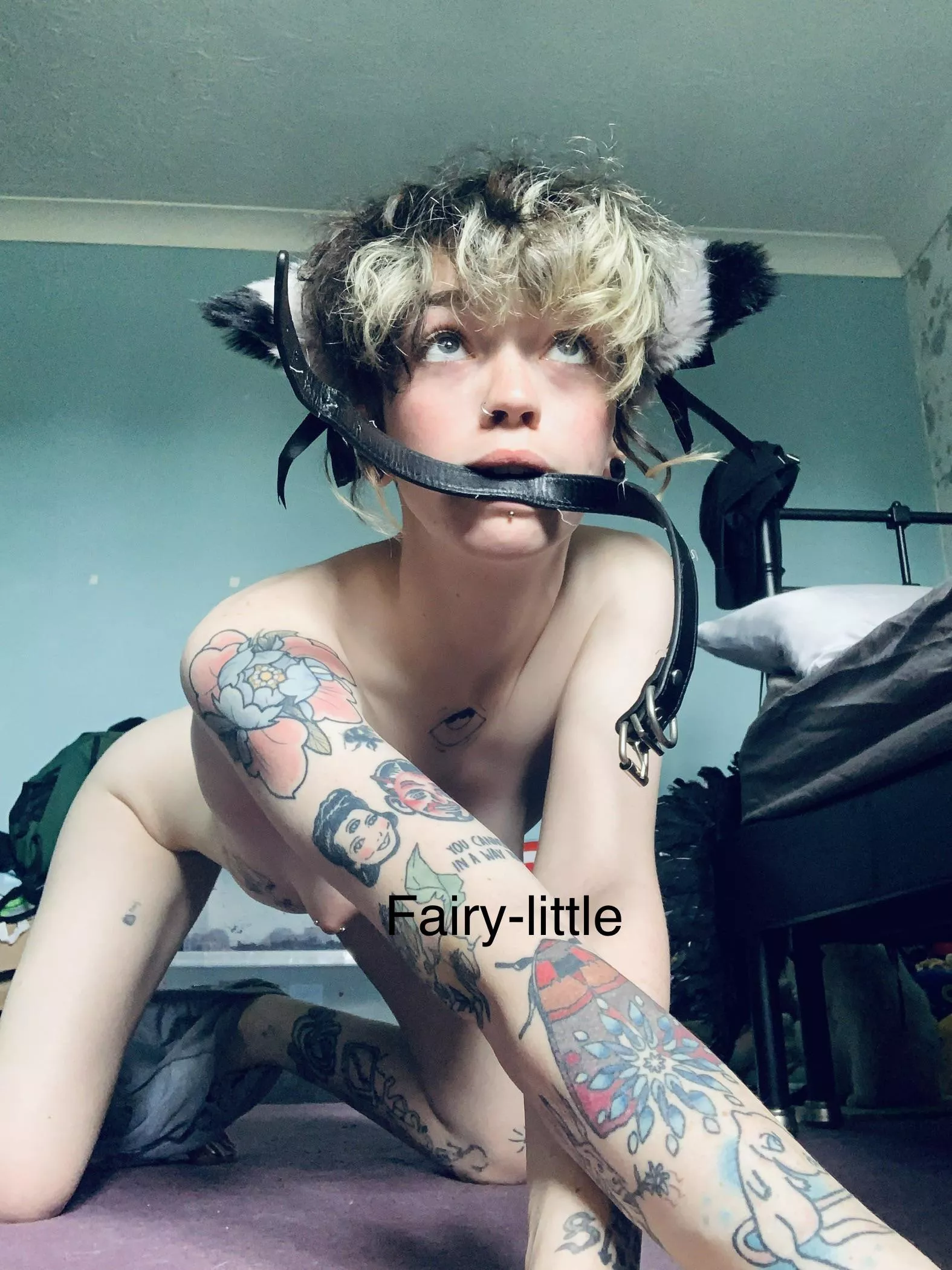 Needy Puppy in heat :c posted by fairy-little