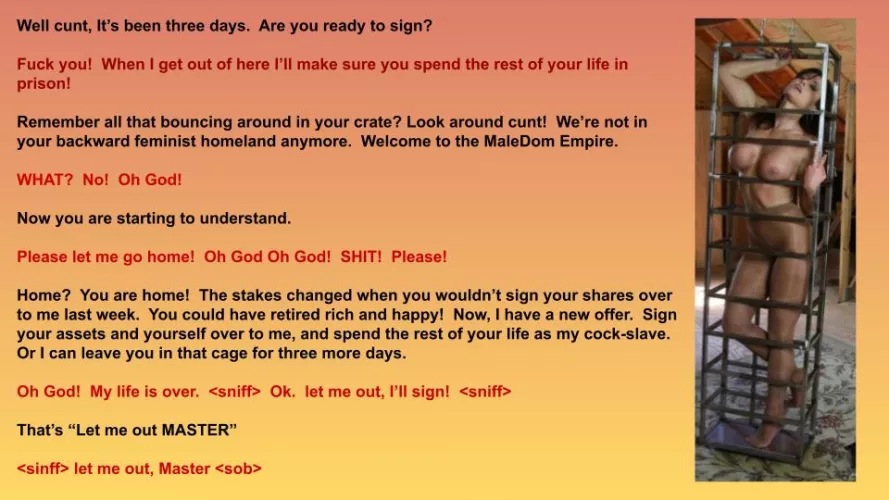 Negotiating with the home field advantage in the Empire by LordOseleon