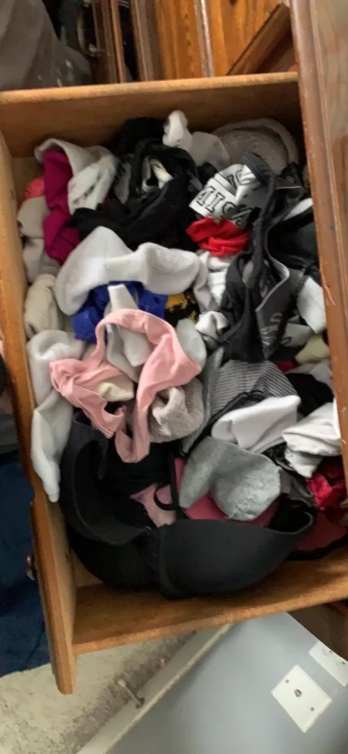 neighbors daughters panty drawer by Consistent_Penalty98