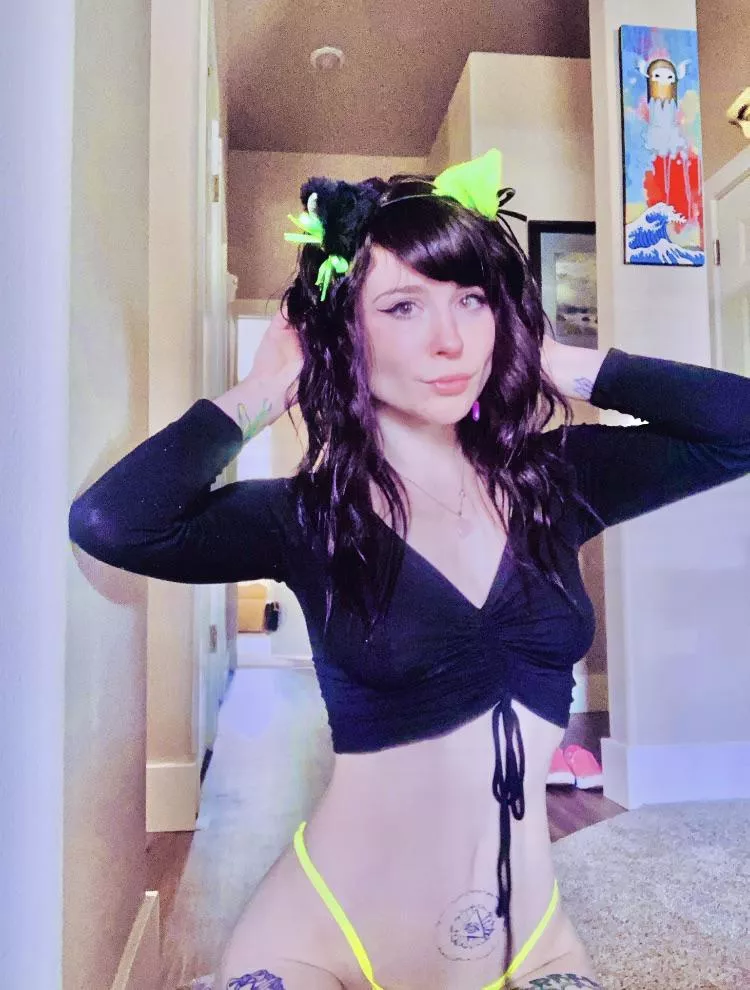 Neko 🌟 posted by assandavocados