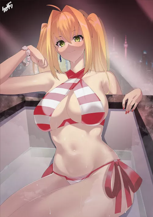 Nero [Fate/GO] by CheetahSperm18