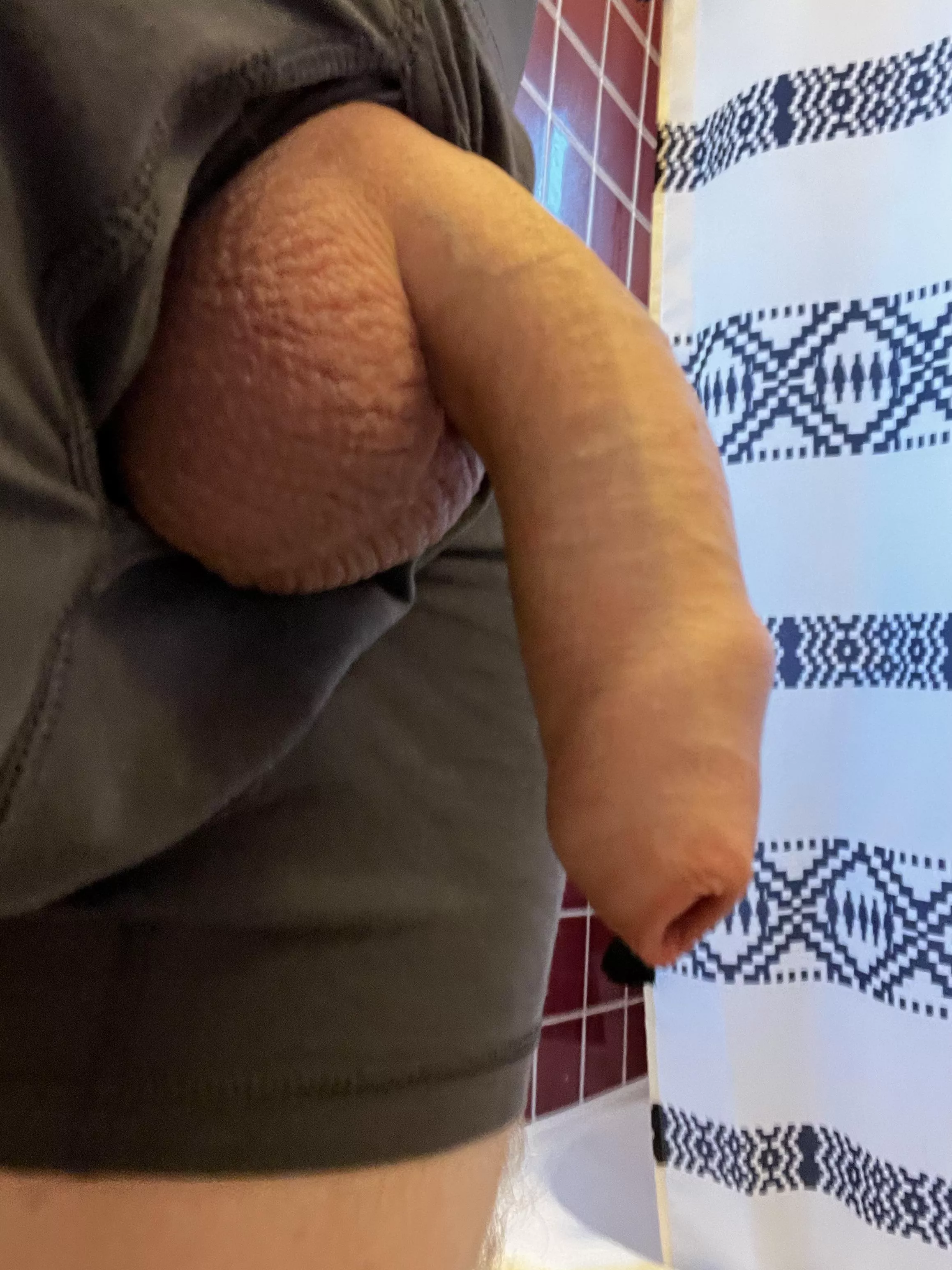 Never posted my cock soft before do people like it? posted by ZiggyZardozz