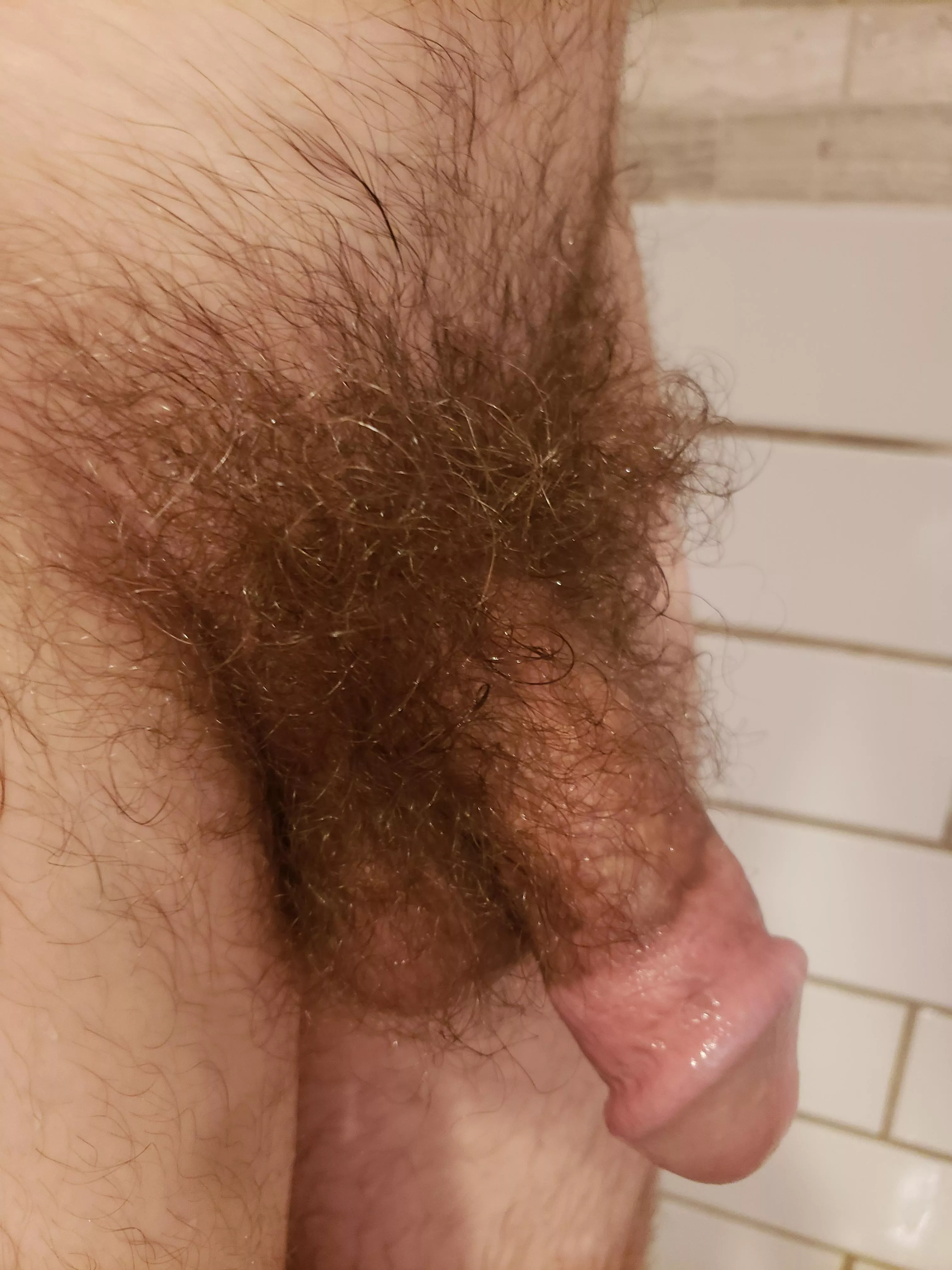 Never really shown my body off to anyone before. What do you think? posted by ShitPostingThisIs