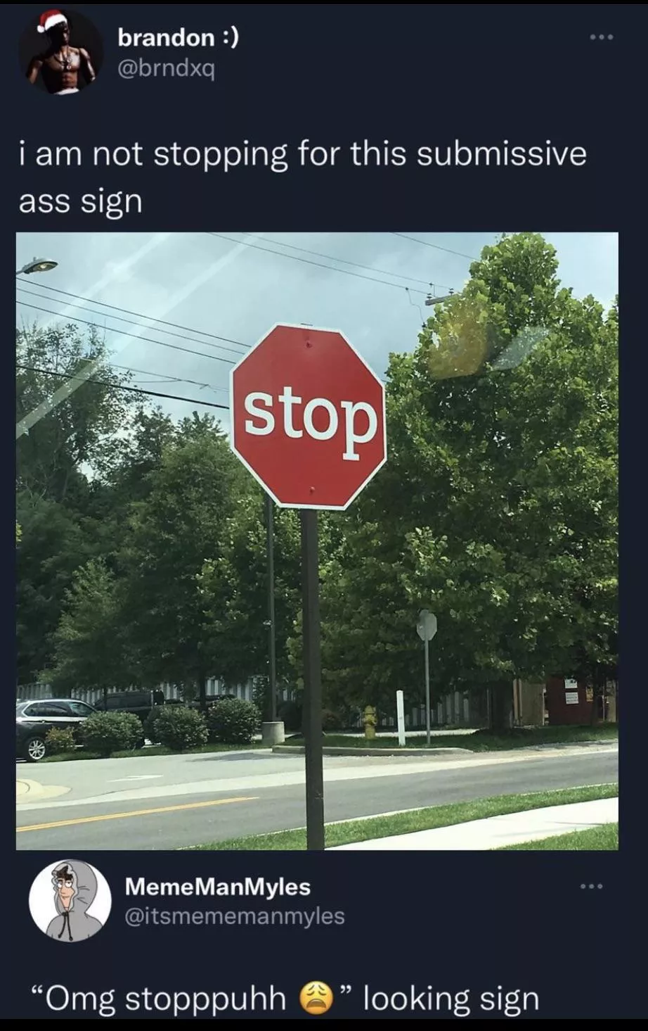 Never thought I could feel so personally attacked by a stop sign! posted by pumpkin992