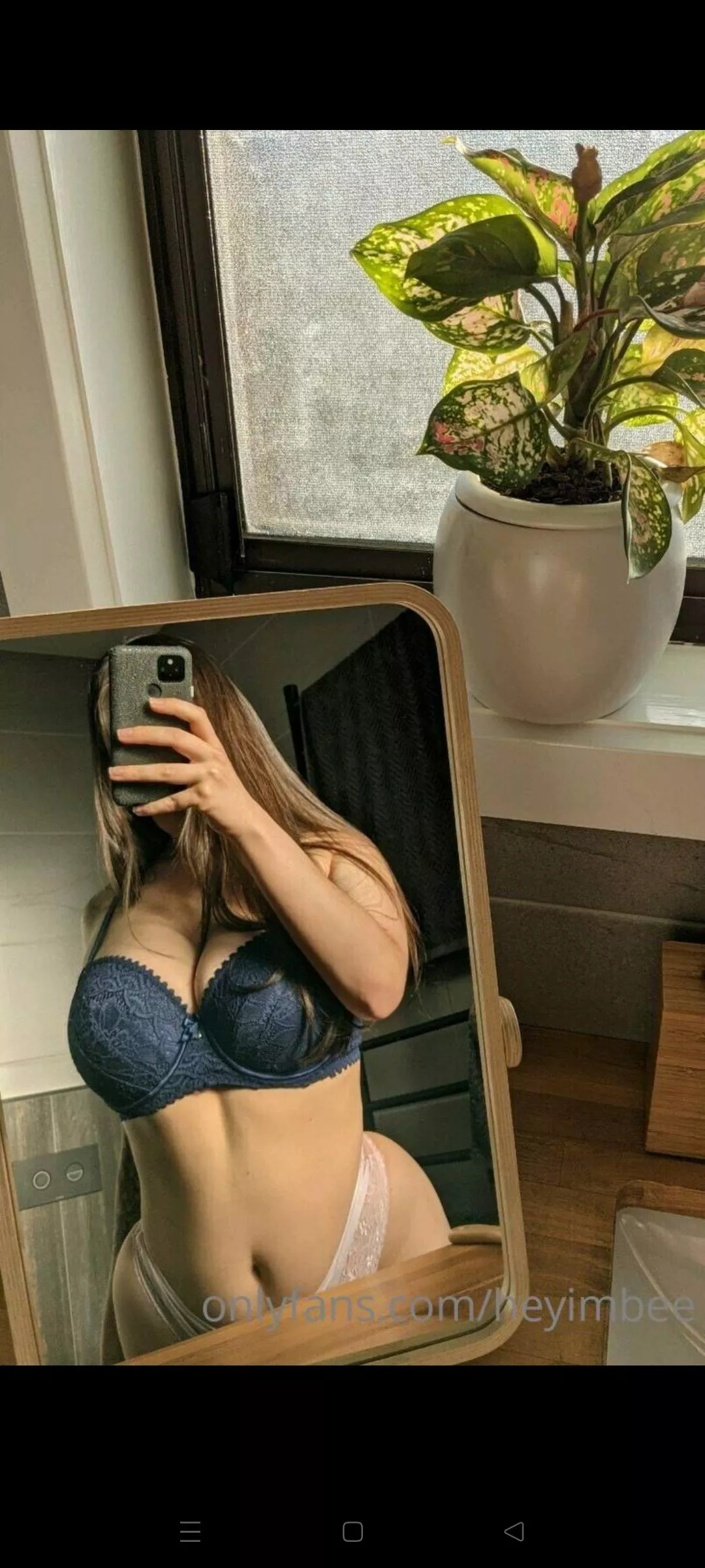 new bee posted by offlineyote