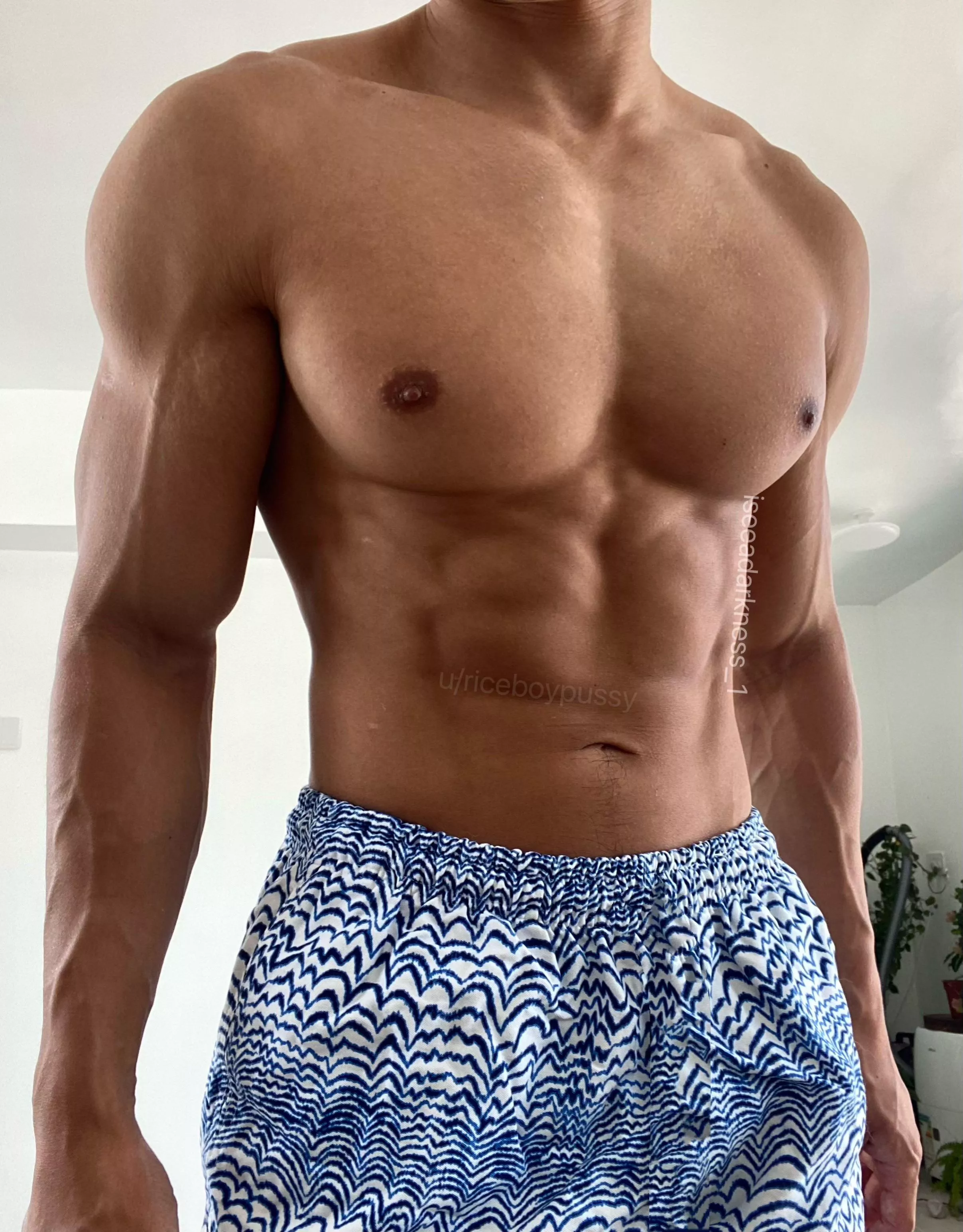 New boxers posted by riceboypussy