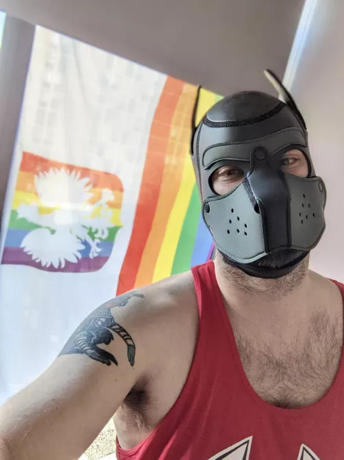 New But Glad To Be Here! Woof! by yumbit