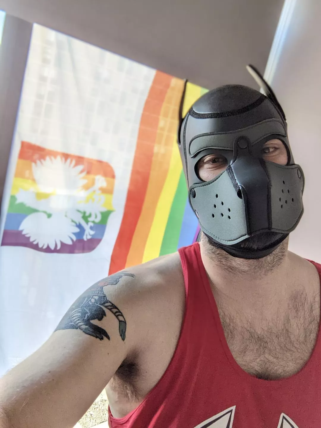 New But Glad To Be Here! Woof! posted by yumbit