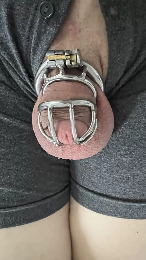 New Cage by Willcd333