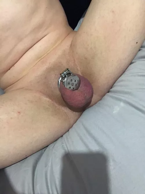 New cage came today by Fit-Extension4351