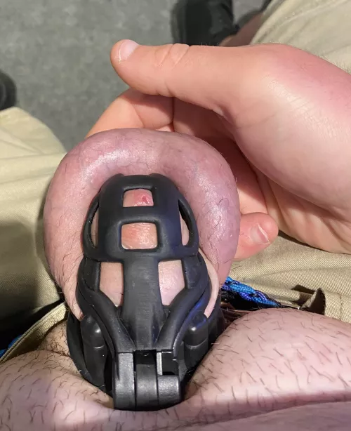 New cage so far my most comfortable yet, I see myself staying in for a long time. by FatSissyBoi