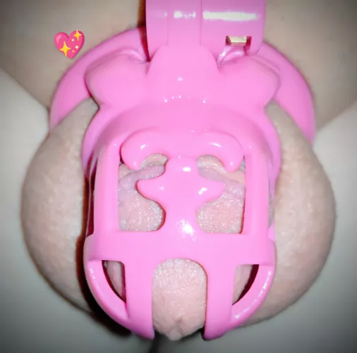 New cage. whatcha think ? 💖 by burningbanjo1