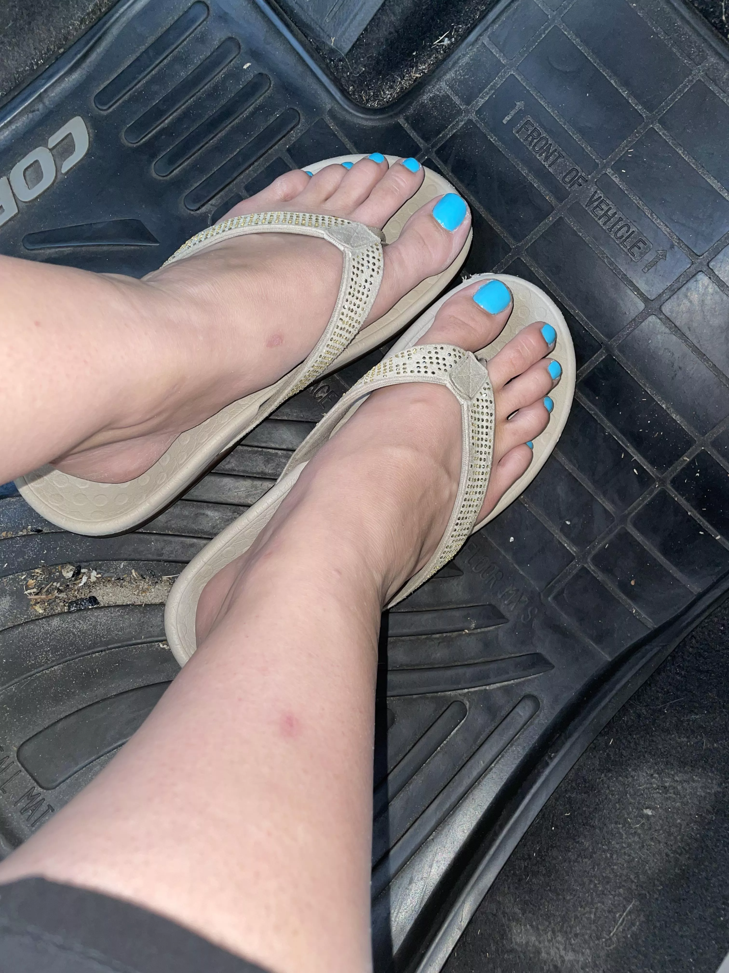 New color 😜 What do you think? posted by Crazycatlady20221990