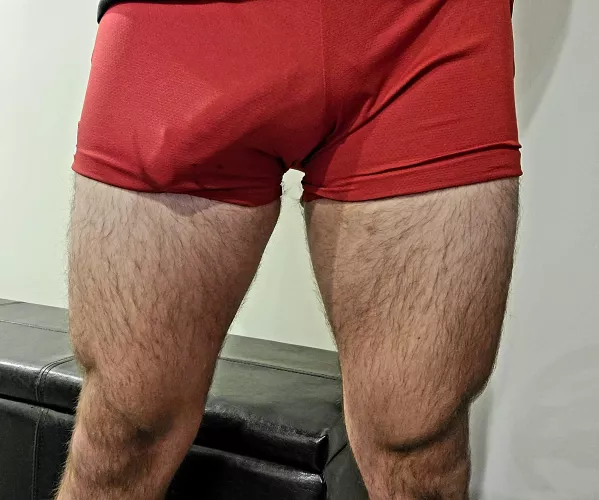 New gym shorts for leg day. Would you follow me into the locker room? by thinkthicc