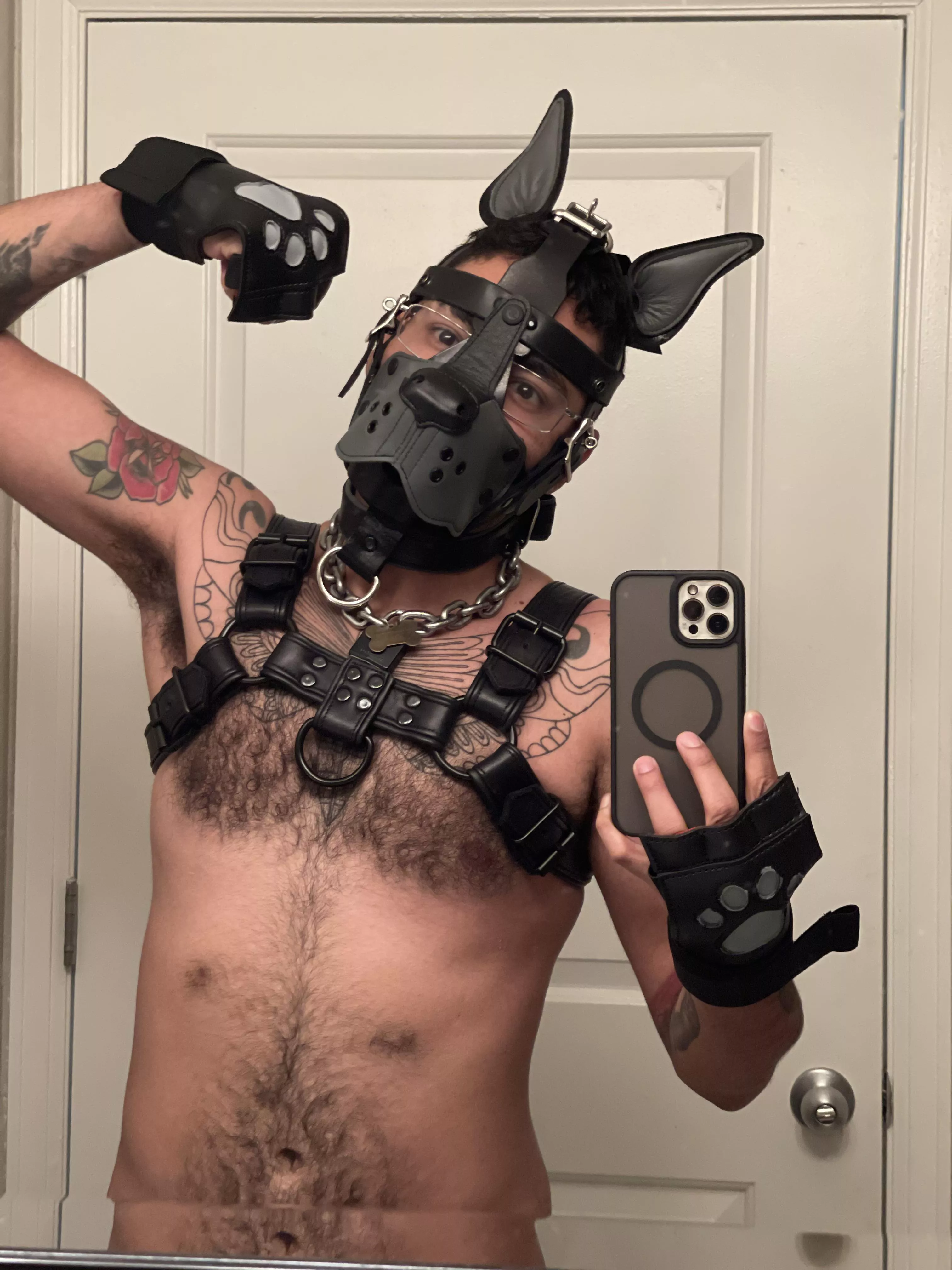 New hood. Feels good. Gwruff! posted by The_WASP_Hunter