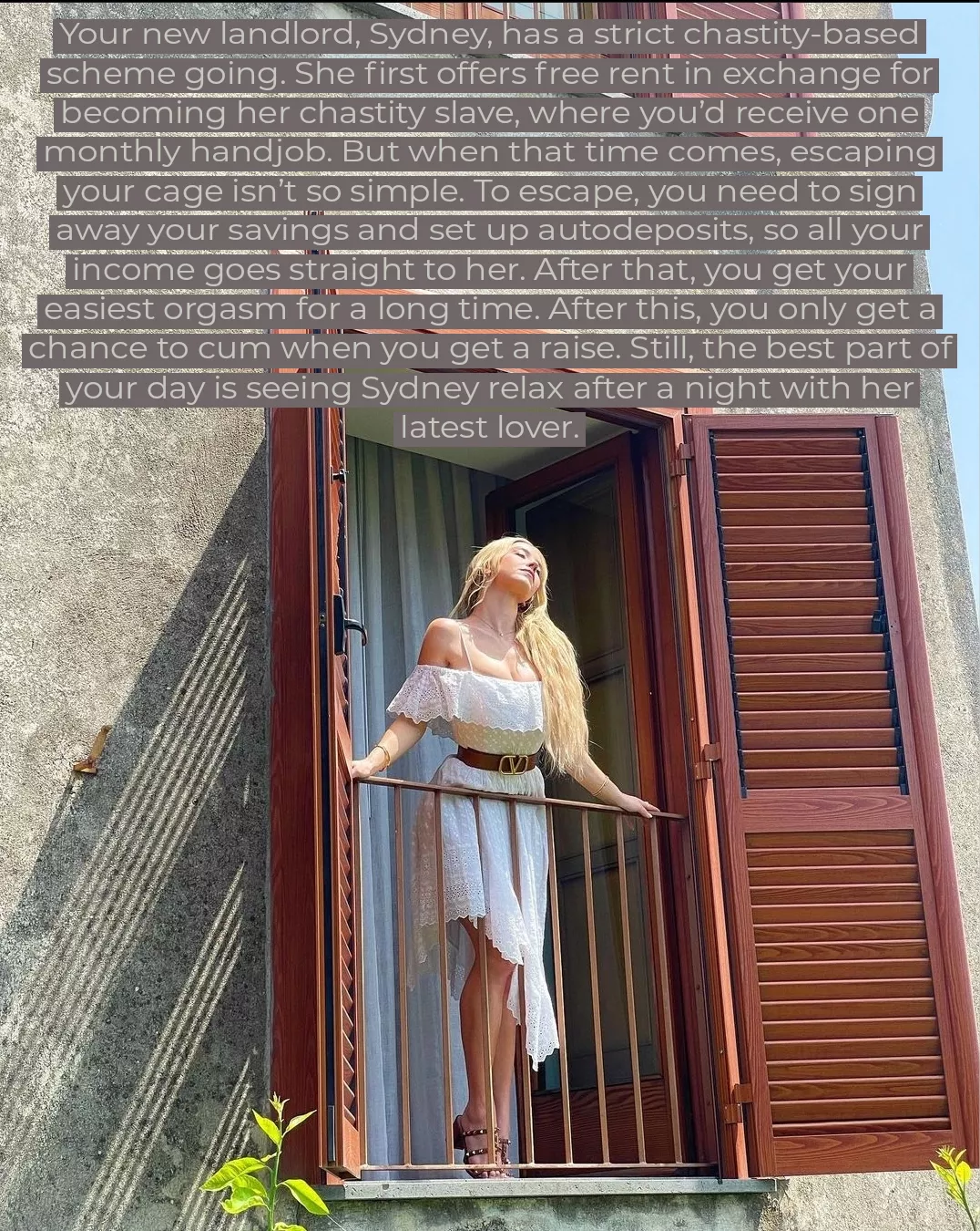 New landlord situation posted by FlamingZebraFace