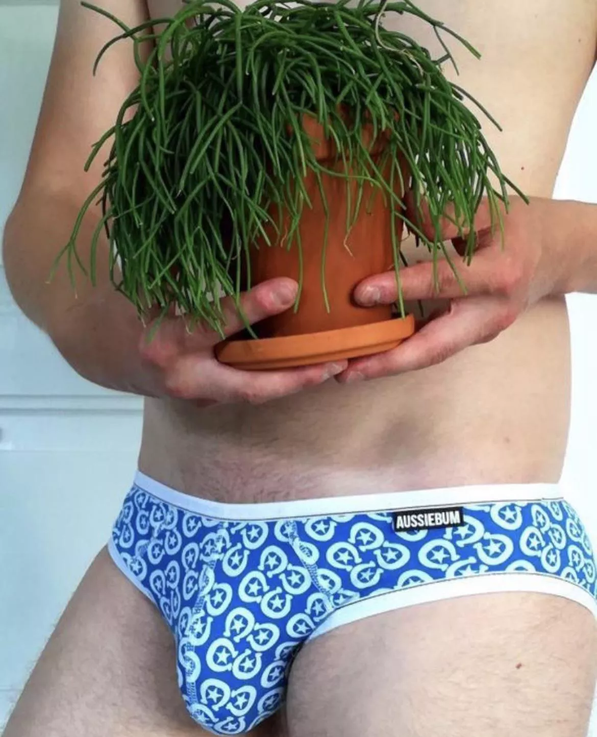 New plant and Aussies. posted by Planthoarder23