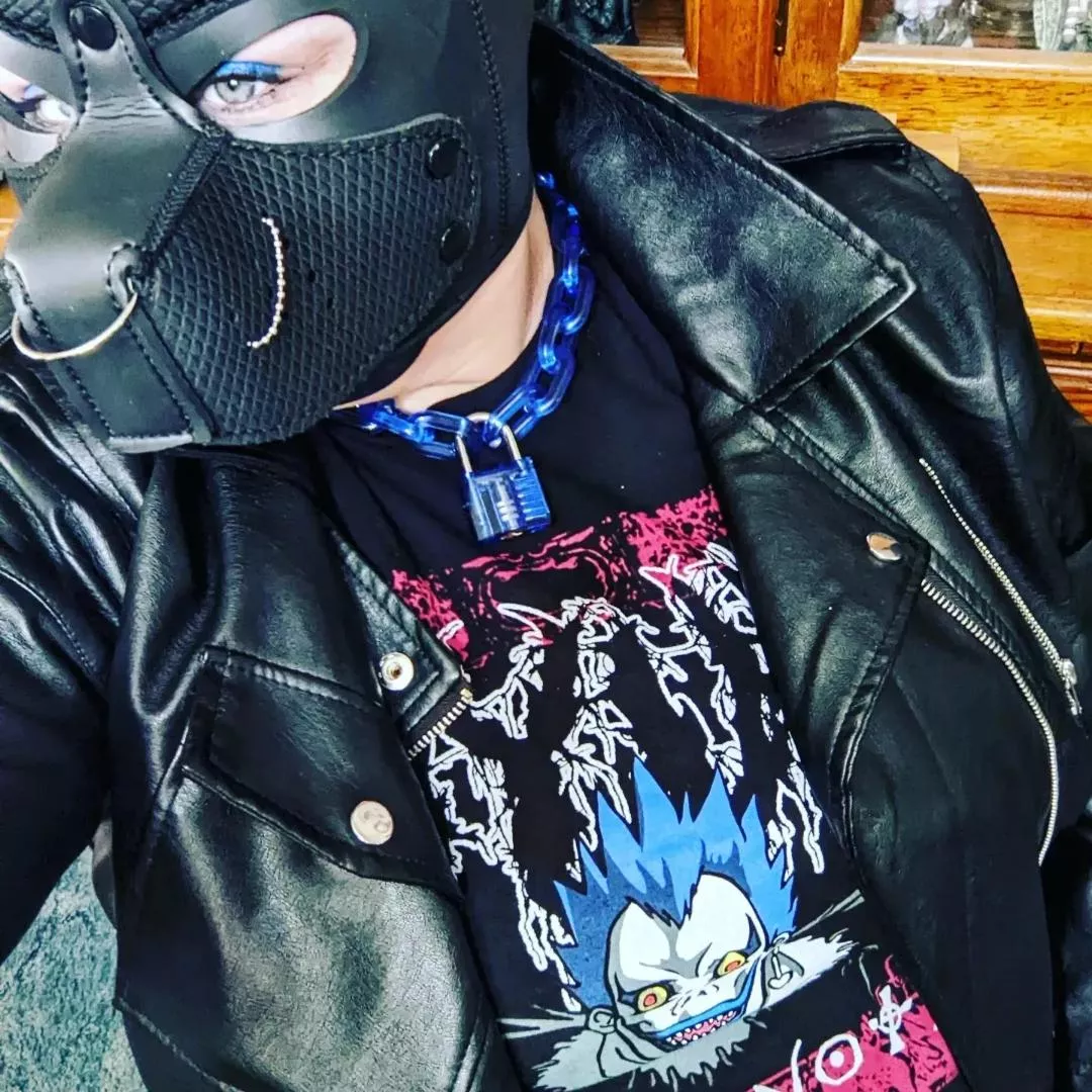 New playful blue collar! posted by SinisterSatyr