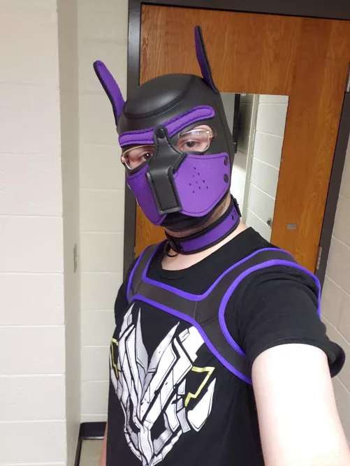 new puppy here! Arff! by SAlexxx69