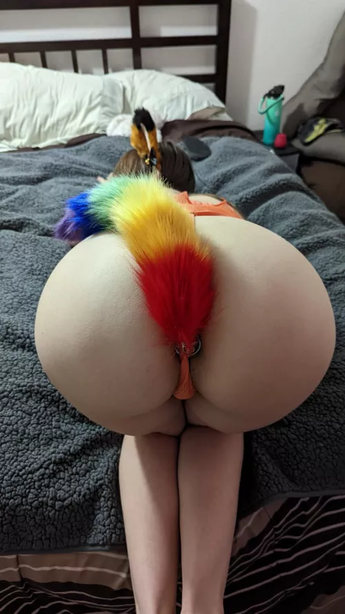 New tail 😍 by hotforhubby91