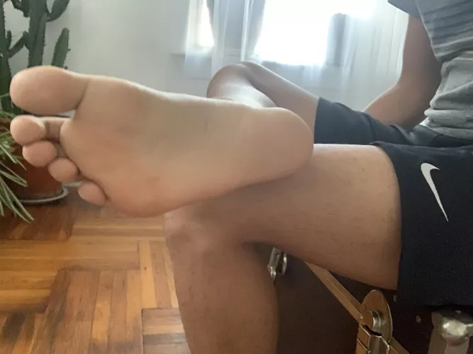 New to efet reddit by moultingstamp