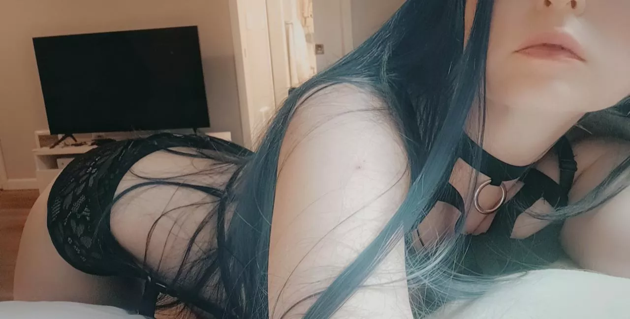 New to OF and looking for some playmates! posted by ashen-fox