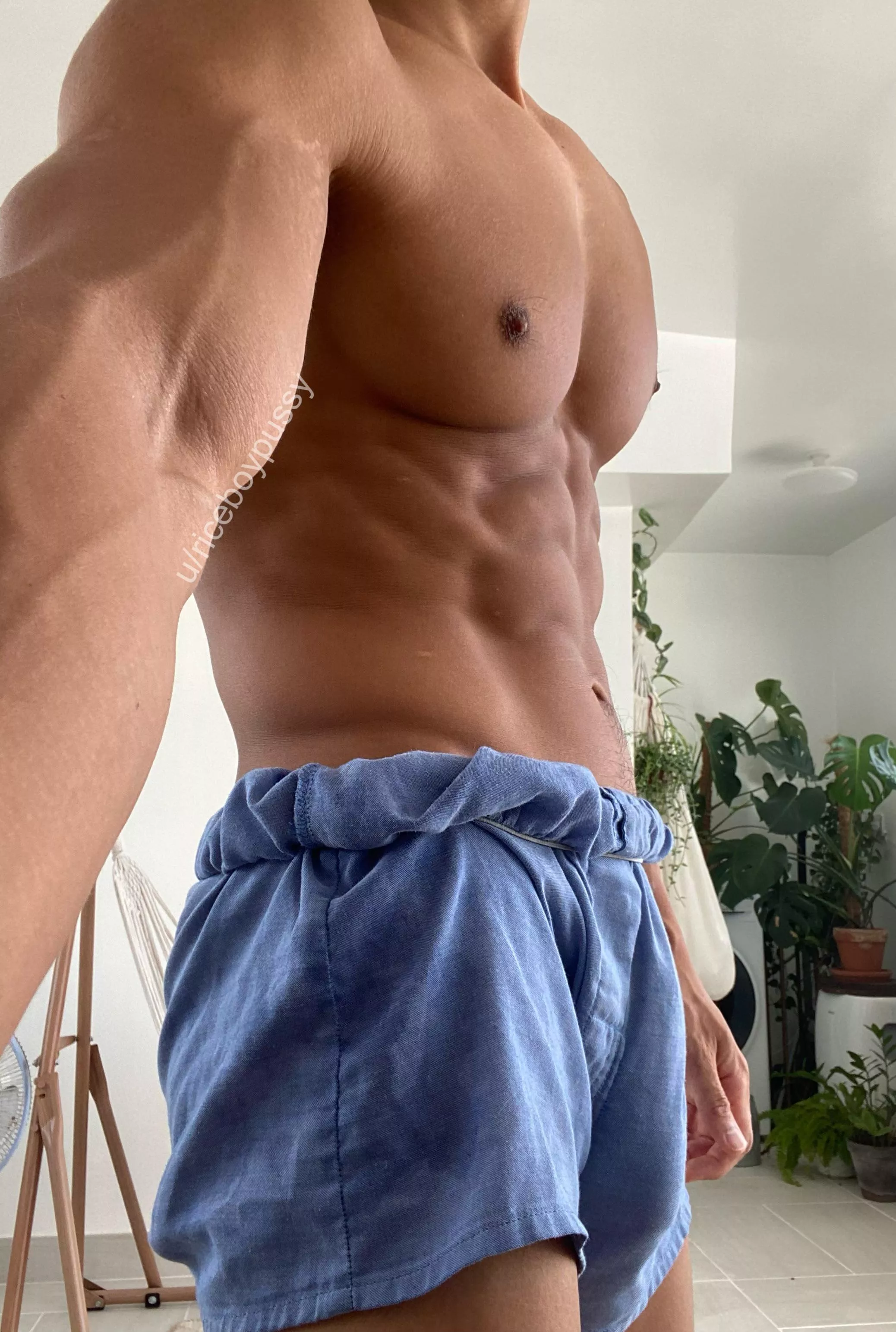 New undie posted by riceboypussy